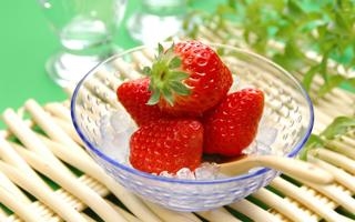 埃尔维斯 VS 塞那乔其
